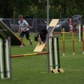 Agility dog - Master 17 Luglio 2010